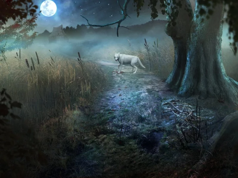 Изображение игры: Shiver: Moonlit Grove