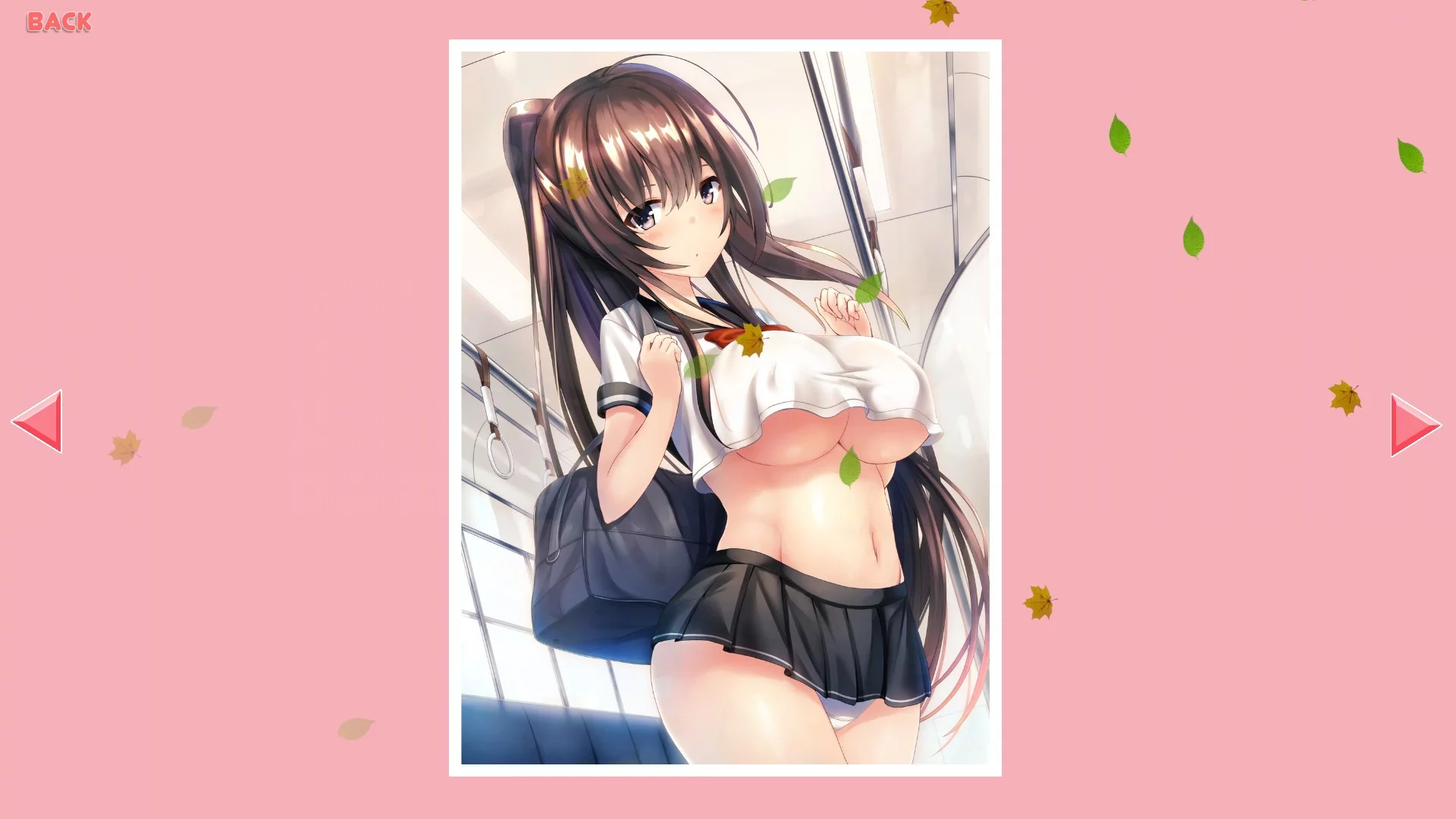 Изображение игры: Ecchi Girls