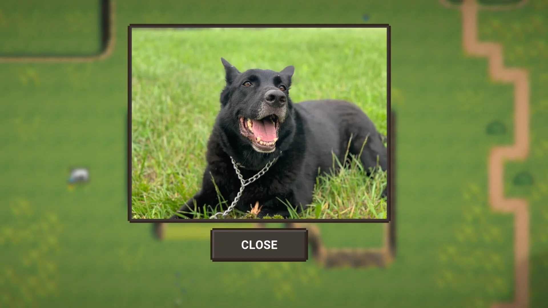 Изображение игры: A Walk With My Dog