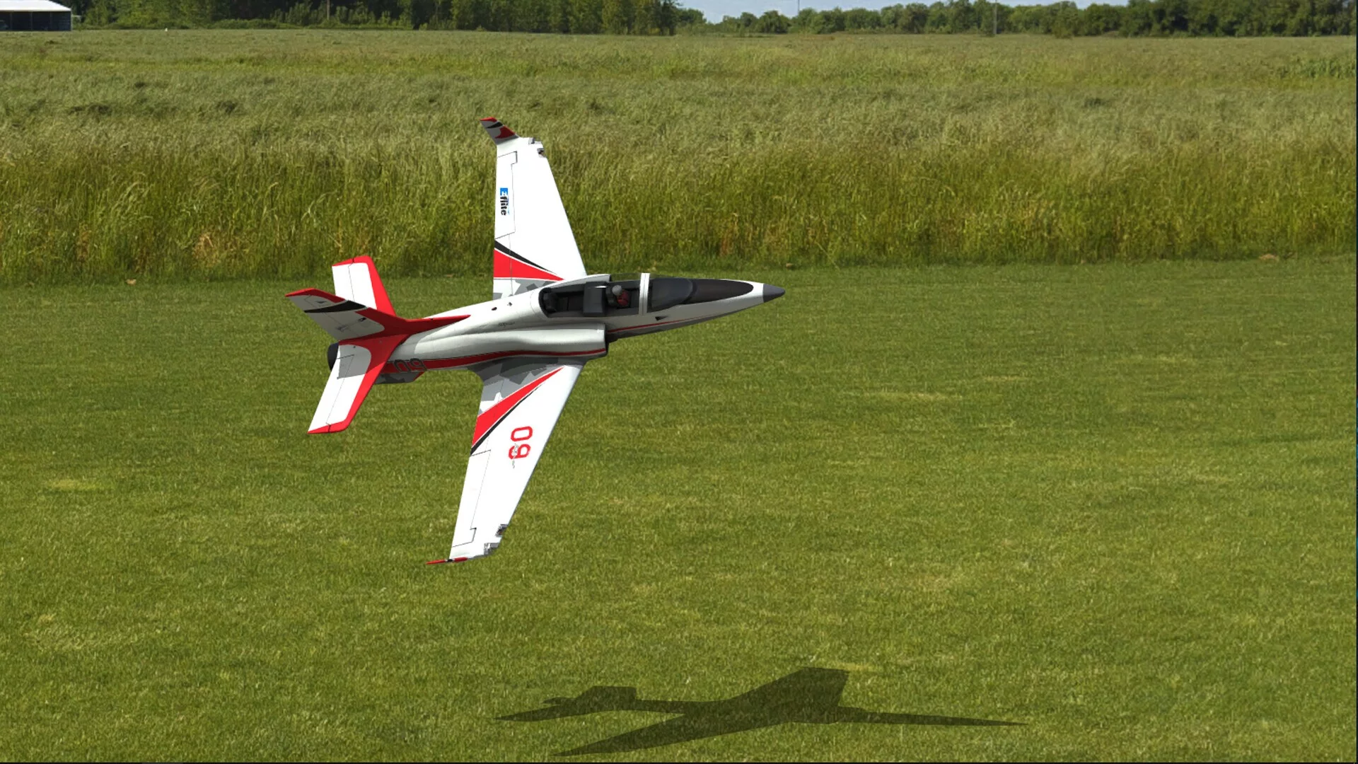 Изображение игры: RealFlight Evolution