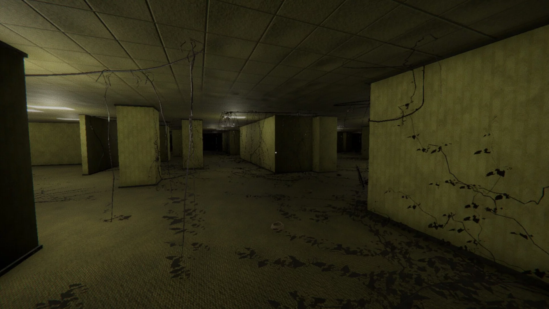 Изображение игры: Welcome To The Backrooms (Early Access)