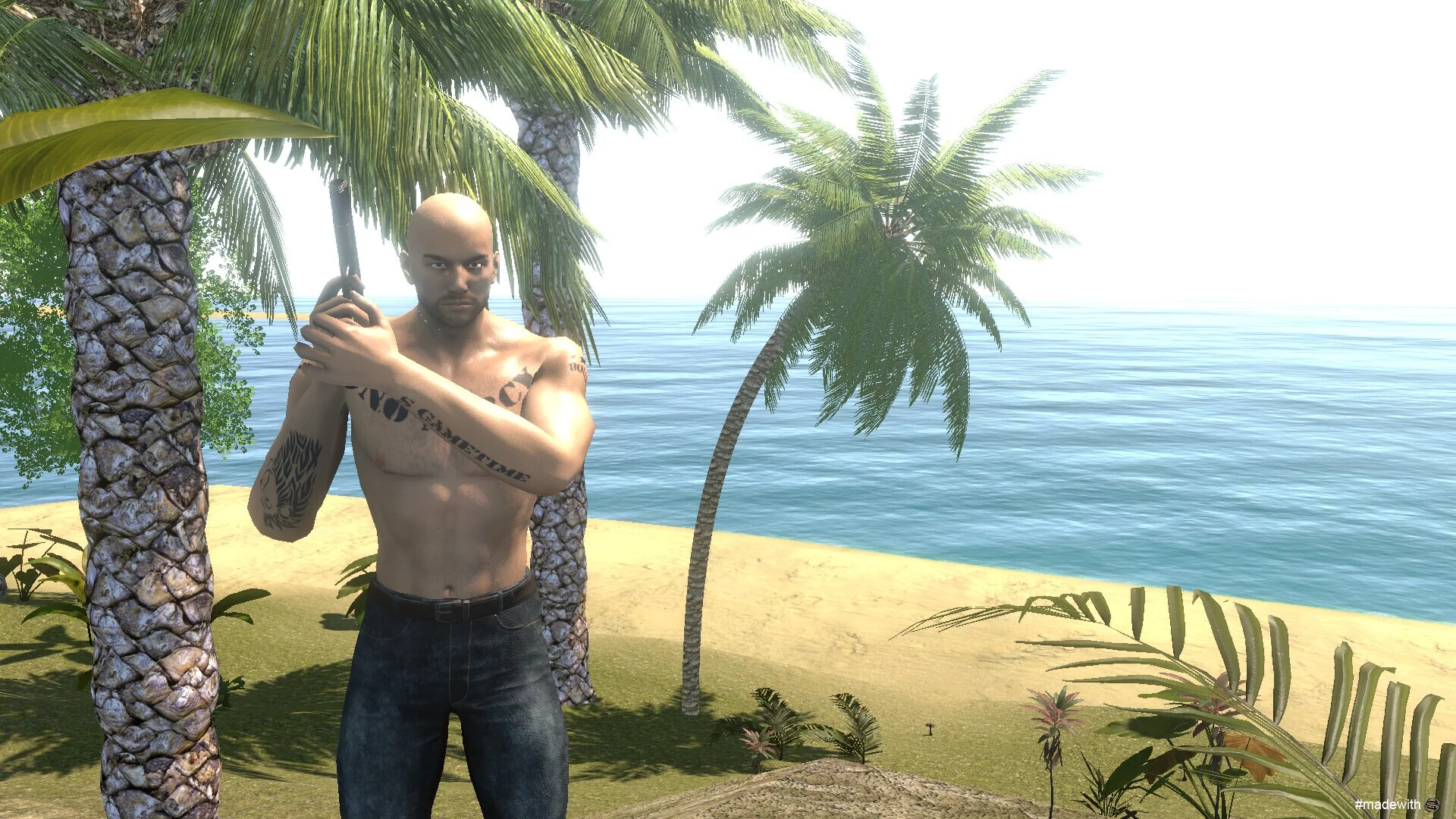Изображение игры: Stranded B