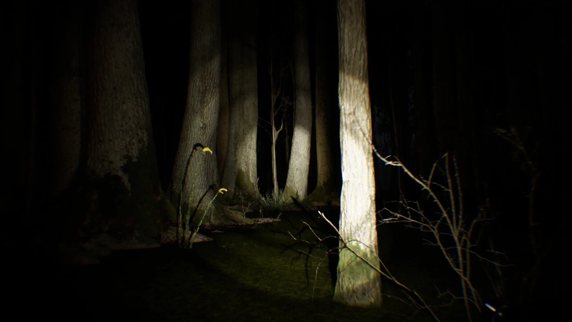 Изображение игры: Search 4 Bigfoot