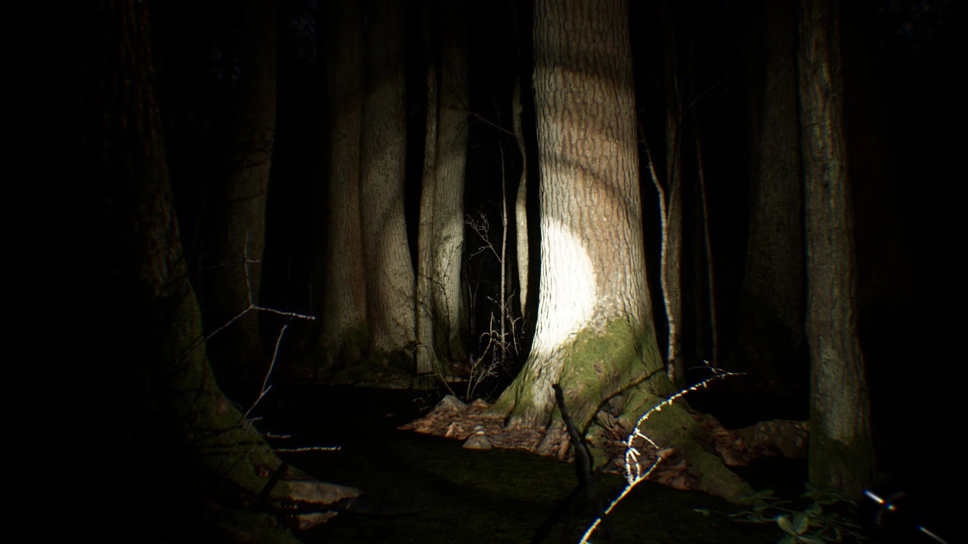 Изображение игры: Search 4 Bigfoot