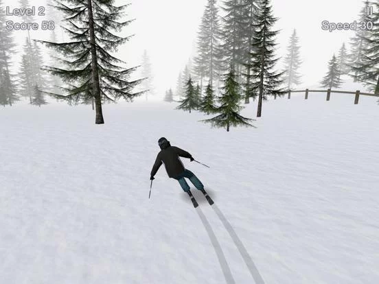 Изображение игры: Alpine Ski III