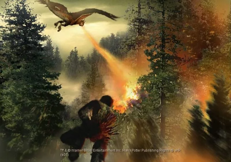 Изображение игры: Harry Potter and the Goblet of Fire