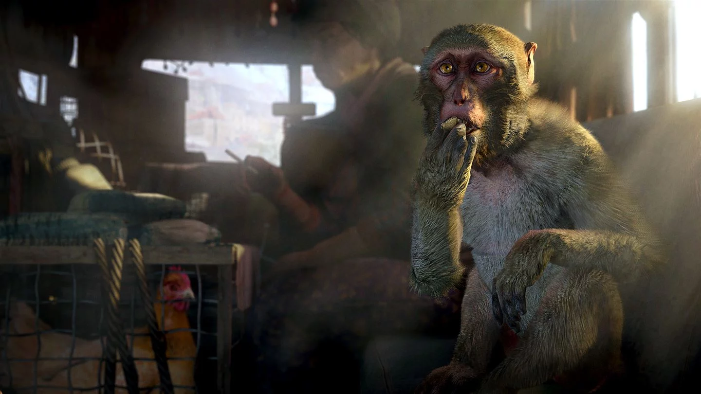 Изображение игры: Far Cry 4