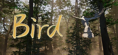 Изображение игры: Bird