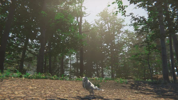 Изображение игры: Bird