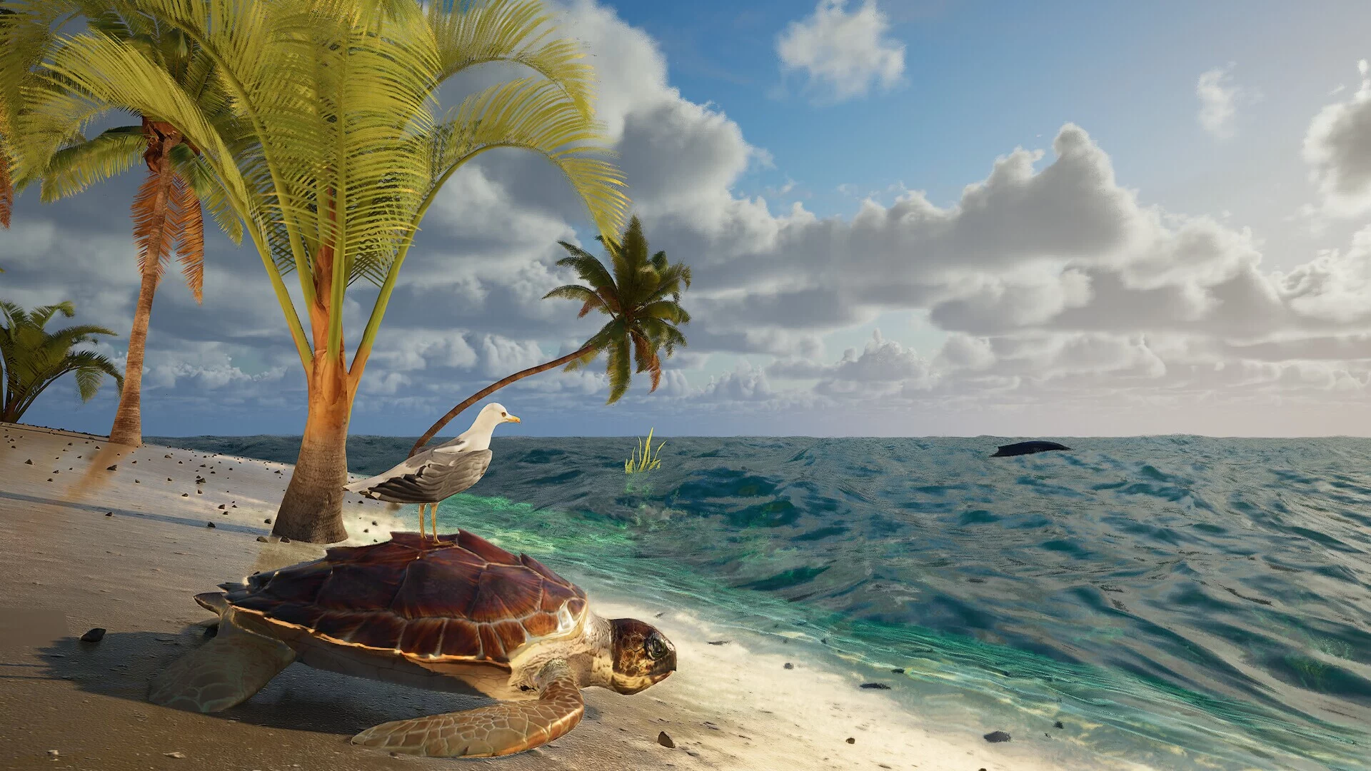 Изображение игры: Eden Island