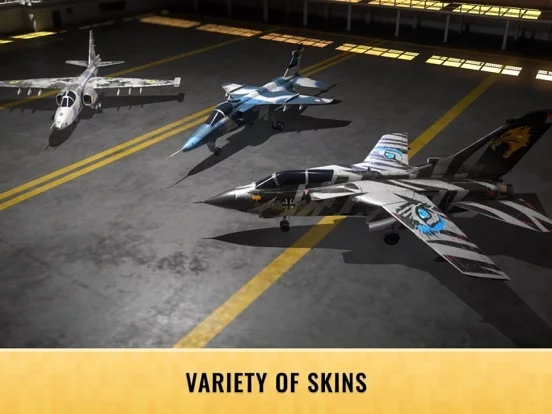 Изображение игры: Fighter Pilot: HeavyFire