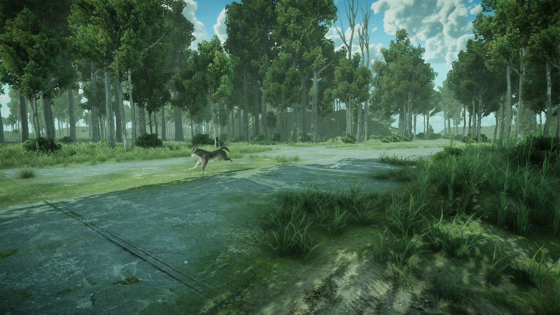 Изображение игры: Forest Spring