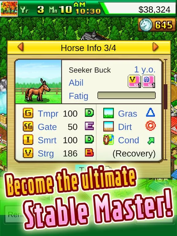 Изображение игры: Pocket Stables
