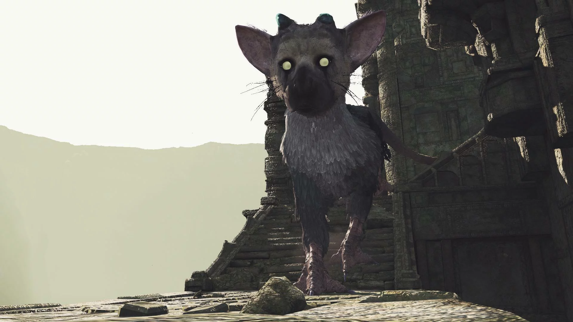 Изображение игры: The Last Guardian VR