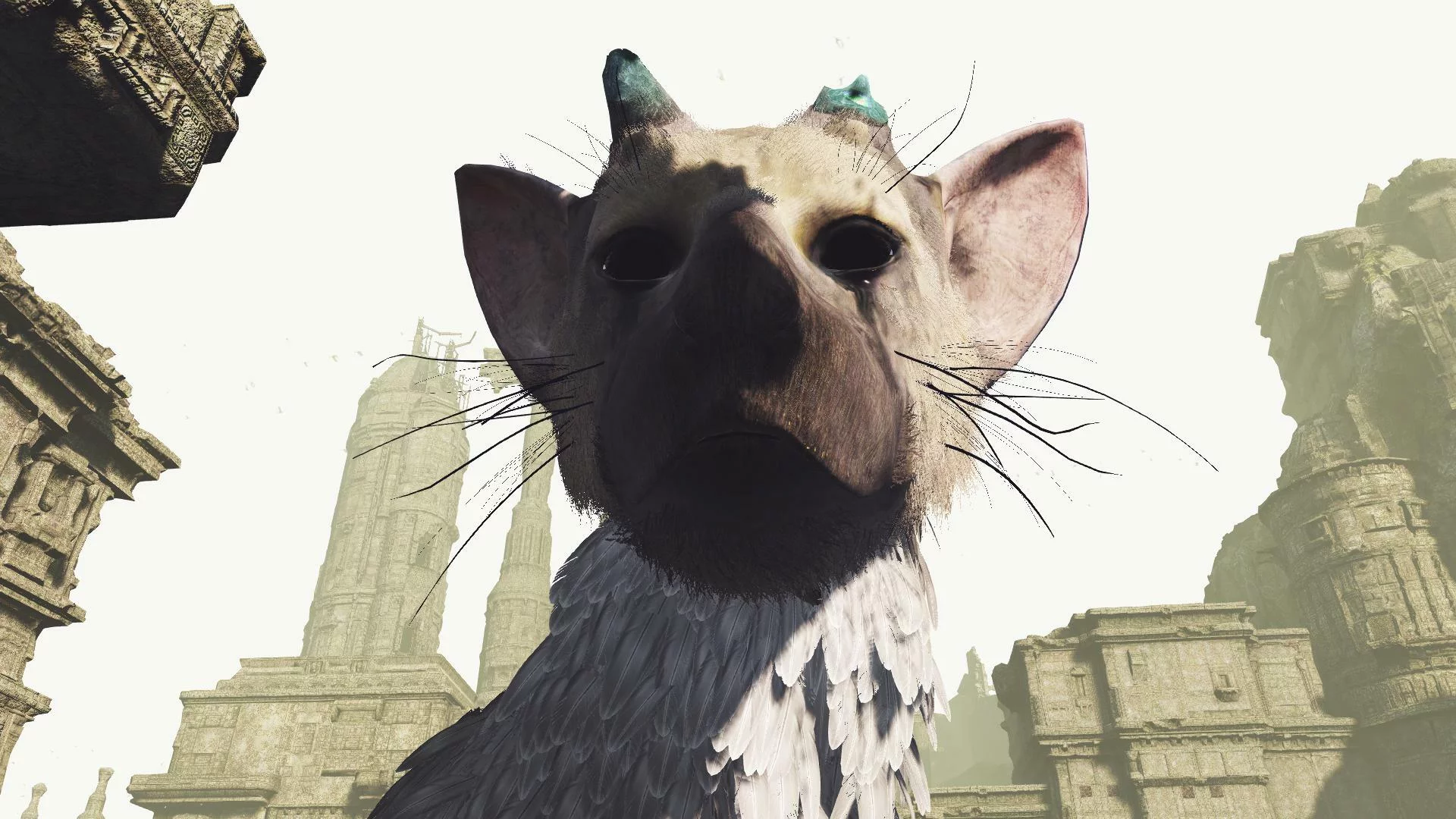 Изображение игры: The Last Guardian VR
