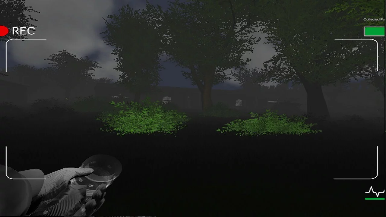 Изображение игры: Deadly Forest