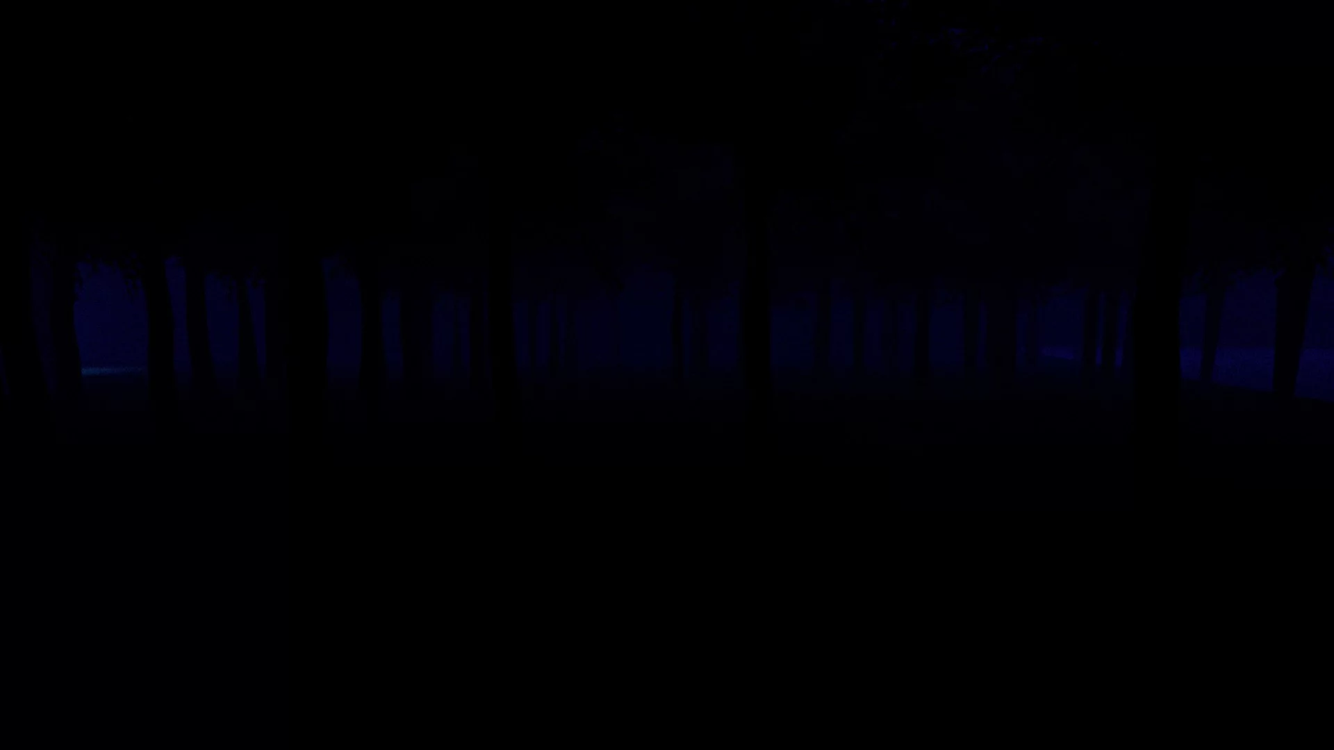 Изображение игры: Another_World