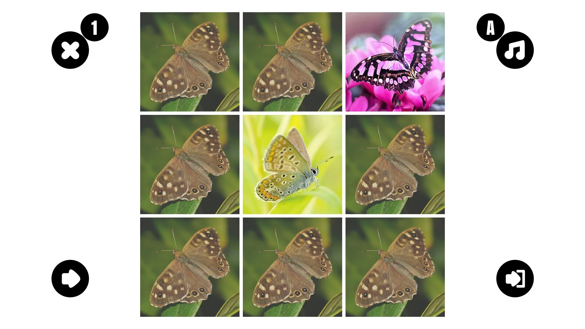 Изображение игры: Butterfly couple