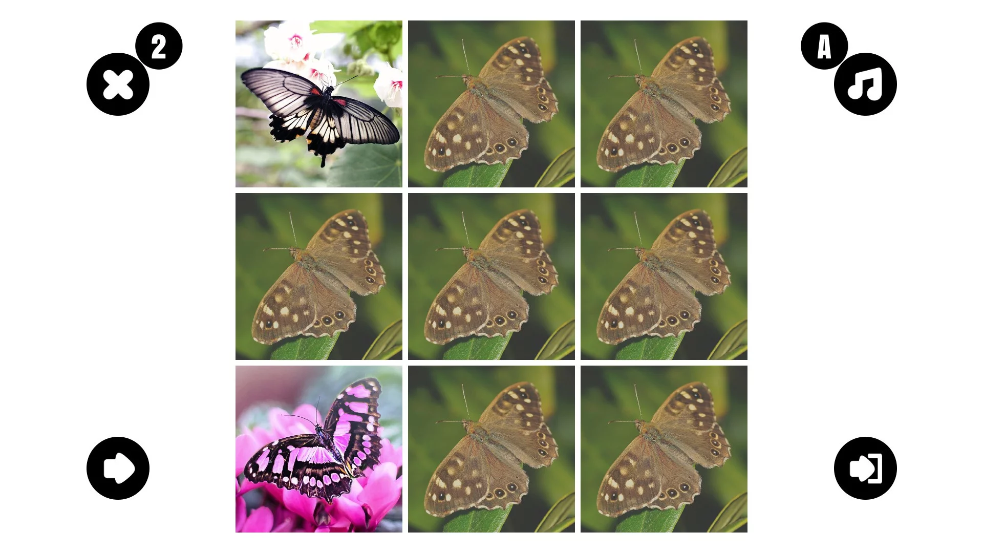 Изображение игры: Butterfly couple