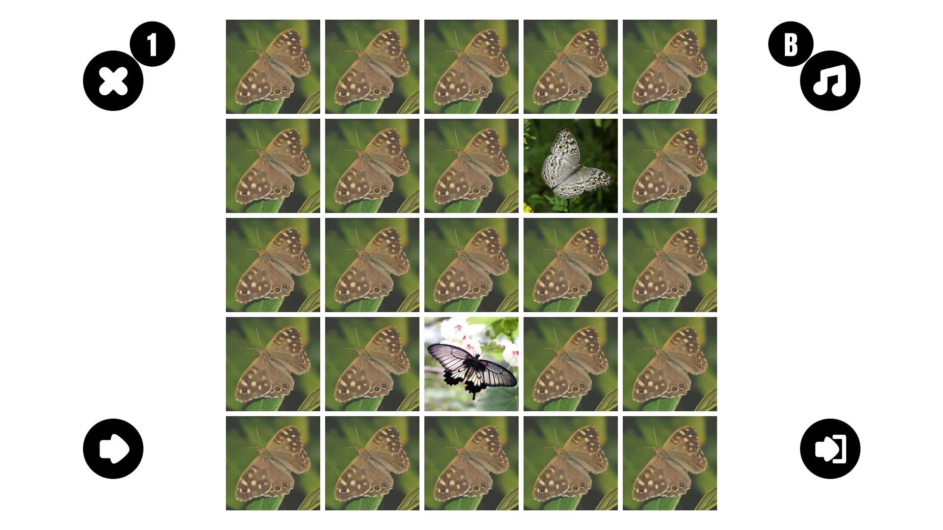 Изображение игры: Butterfly couple