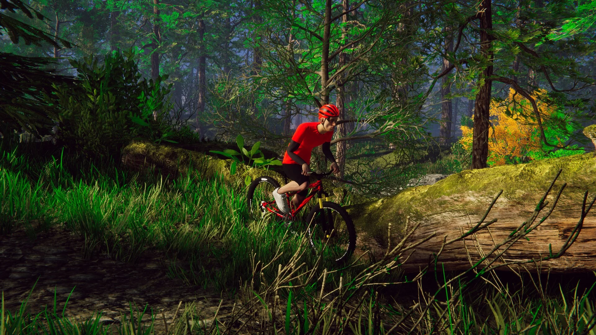 Изображение игры: Bicycle Rider Simulator