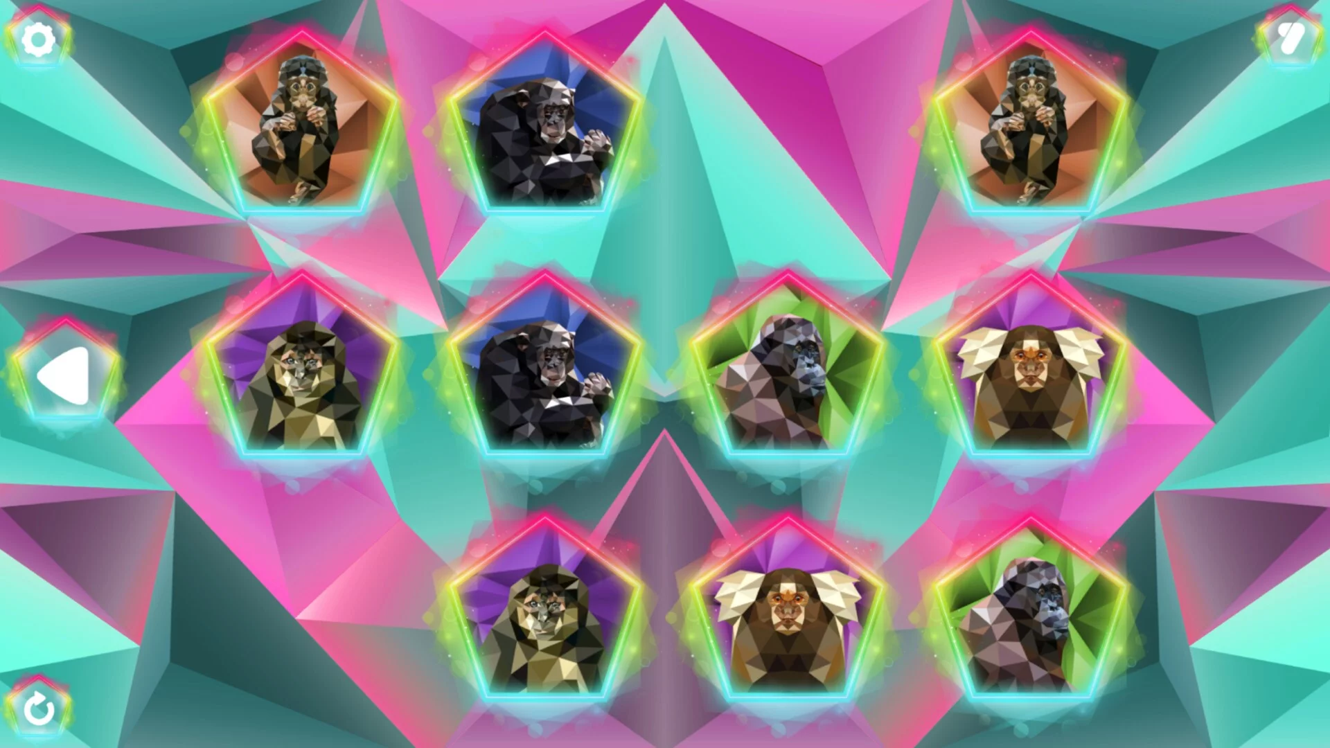 Изображение игры: Poly Memory: Primates