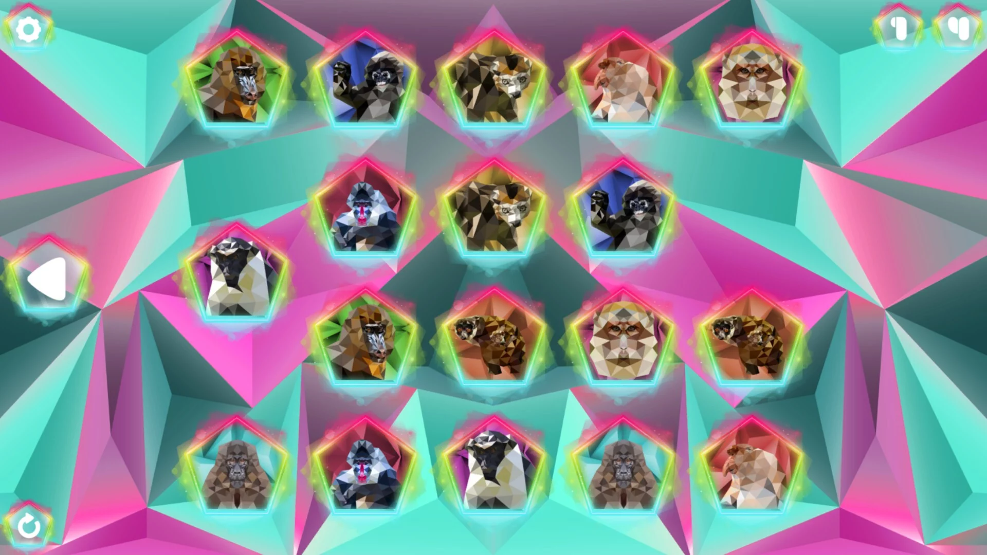 Изображение игры: Poly Memory: Primates