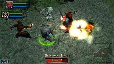 Изображение игры: Dungeon Siege: Throne of Agony
