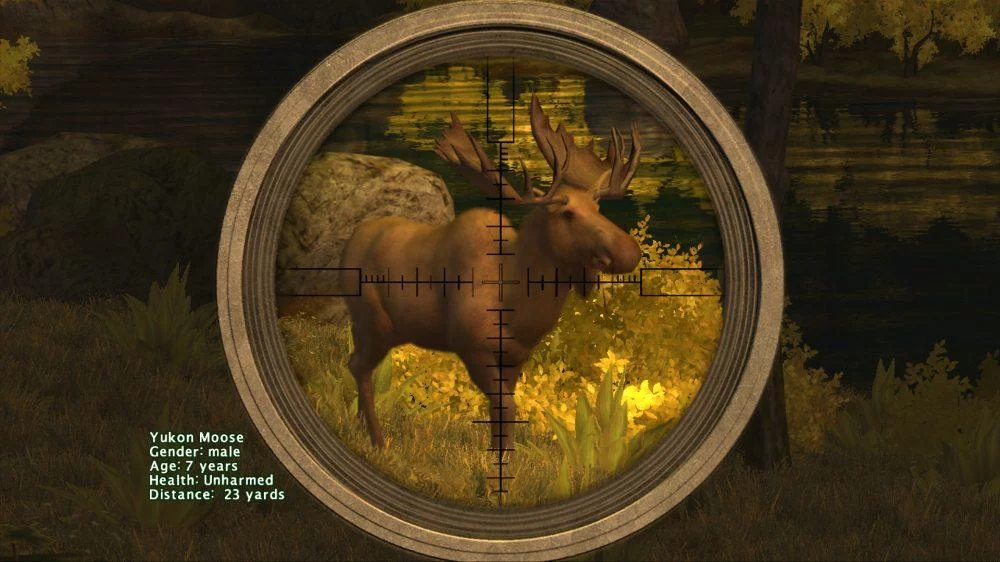 Изображение игры: Big Game Hunter