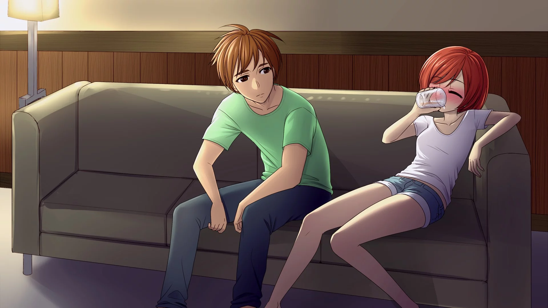 Изображение игры: Roommate