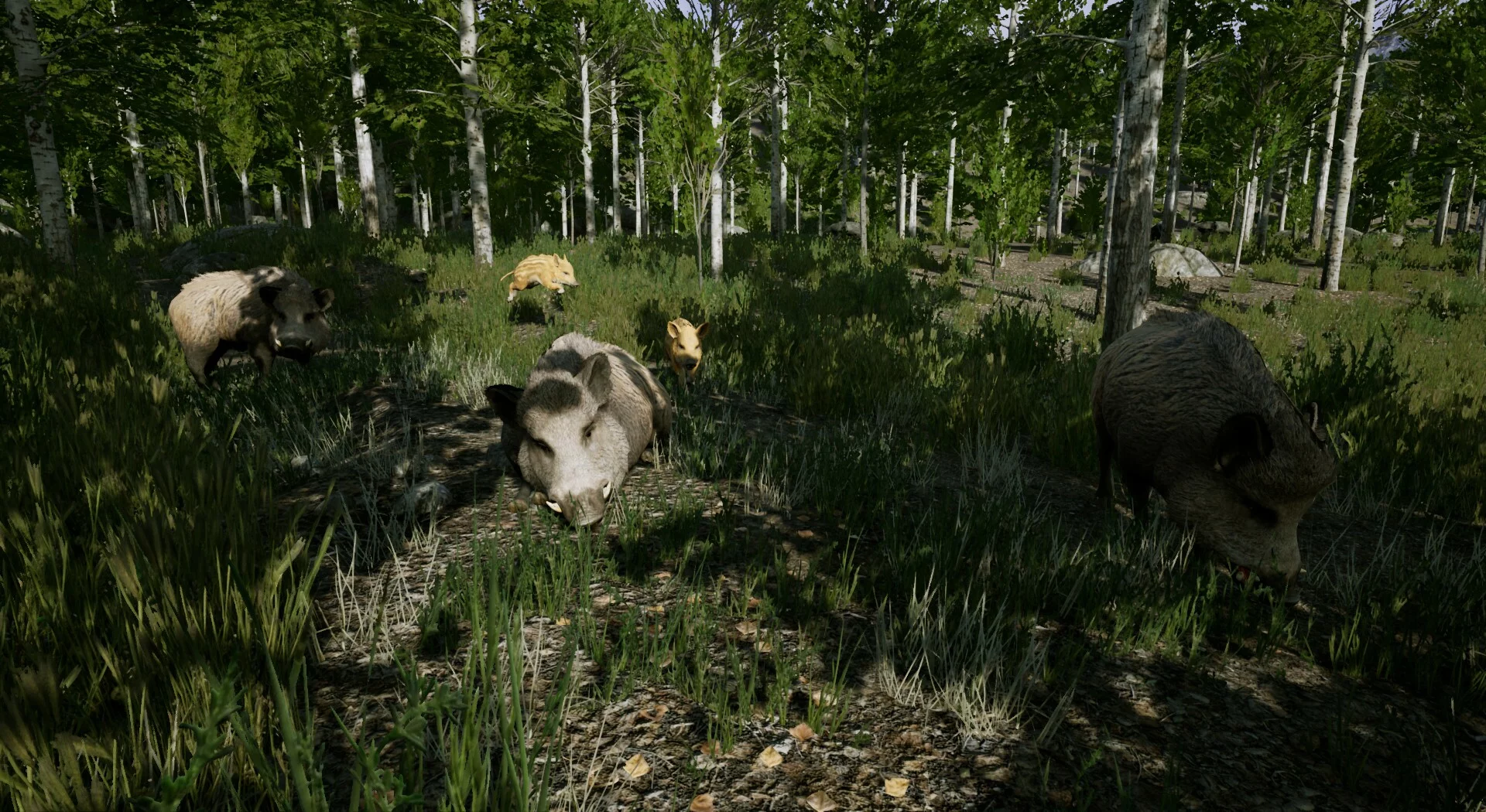 Изображение игры: Territory