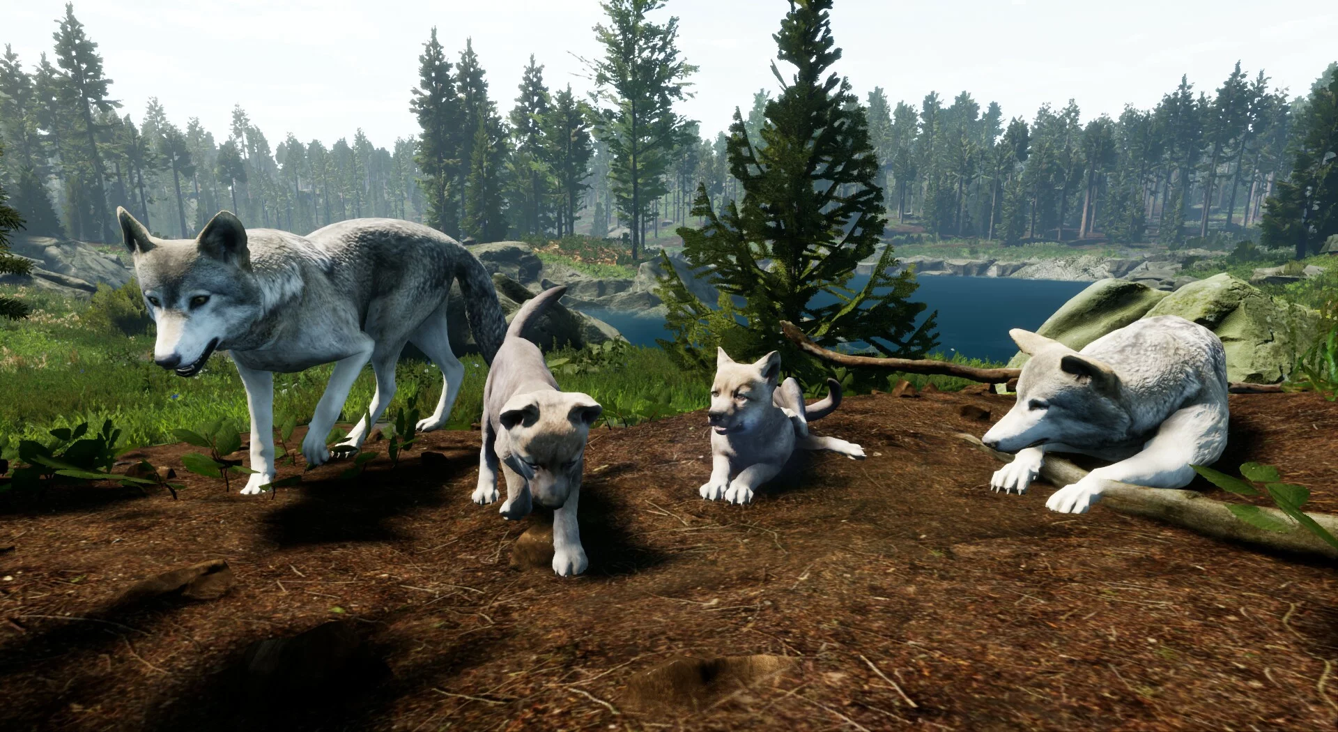 Изображение игры: Territory