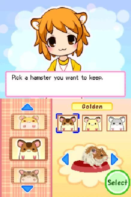 Изображение игры: Hamsterz Life
