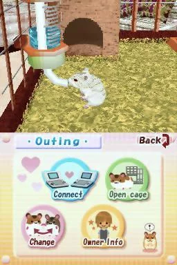 Изображение игры: Hamsterz Life