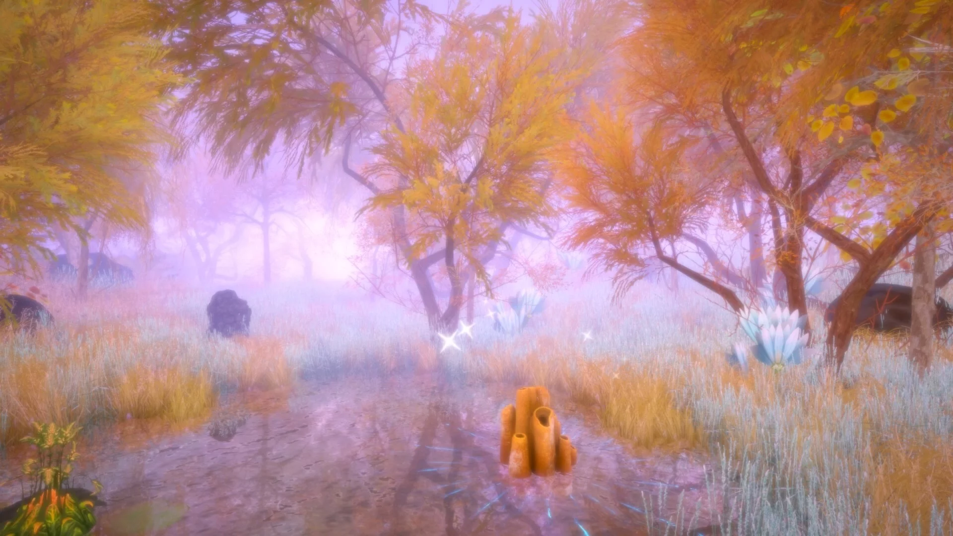 Изображение игры: Hidden Treasures in the Forest of Dreams