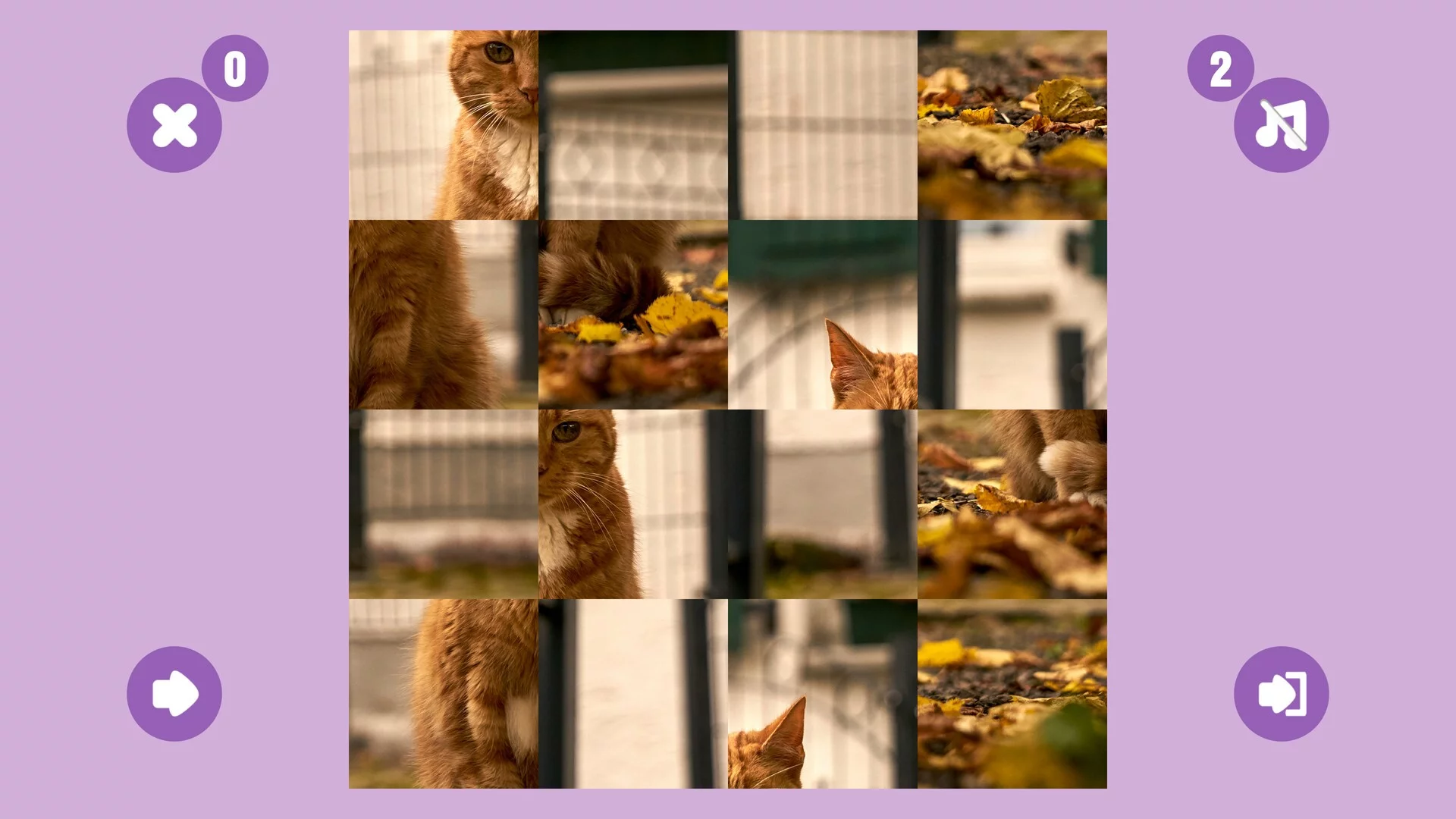 Изображение игры: CAT GAME🐱