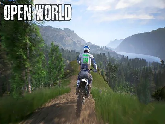 Изображение игры: Freestyle Motocross Skill 3D