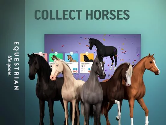 Изображение игры: Equestrian the Game