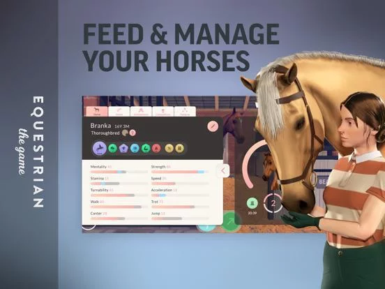 Изображение игры: Equestrian the Game
