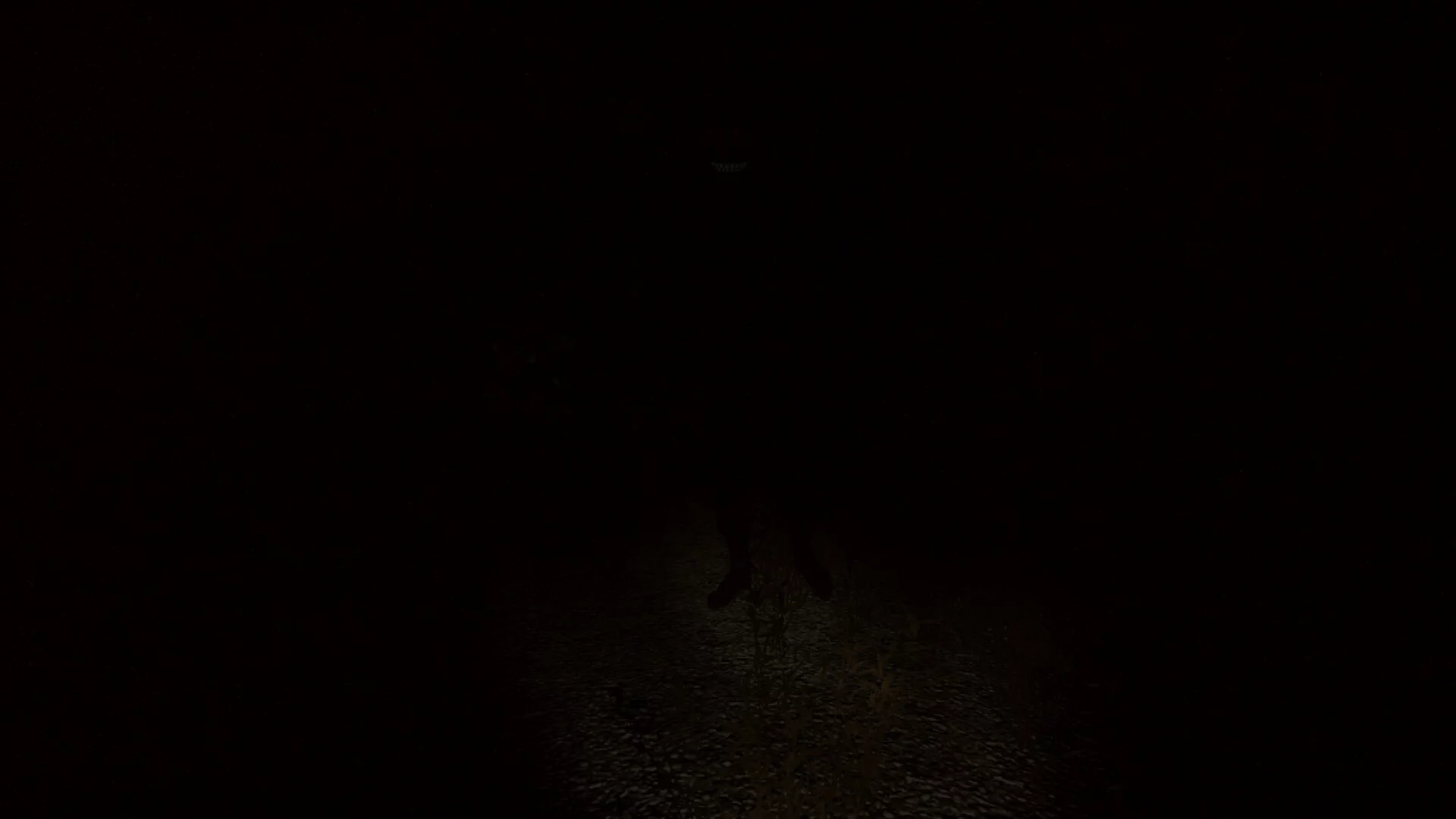 Изображение игры: Sciophobia: The Fear of Shadows
