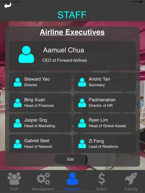 Изображение игры: Aviation Management