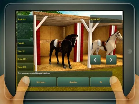 Изображение игры: Jumping Horses Champions