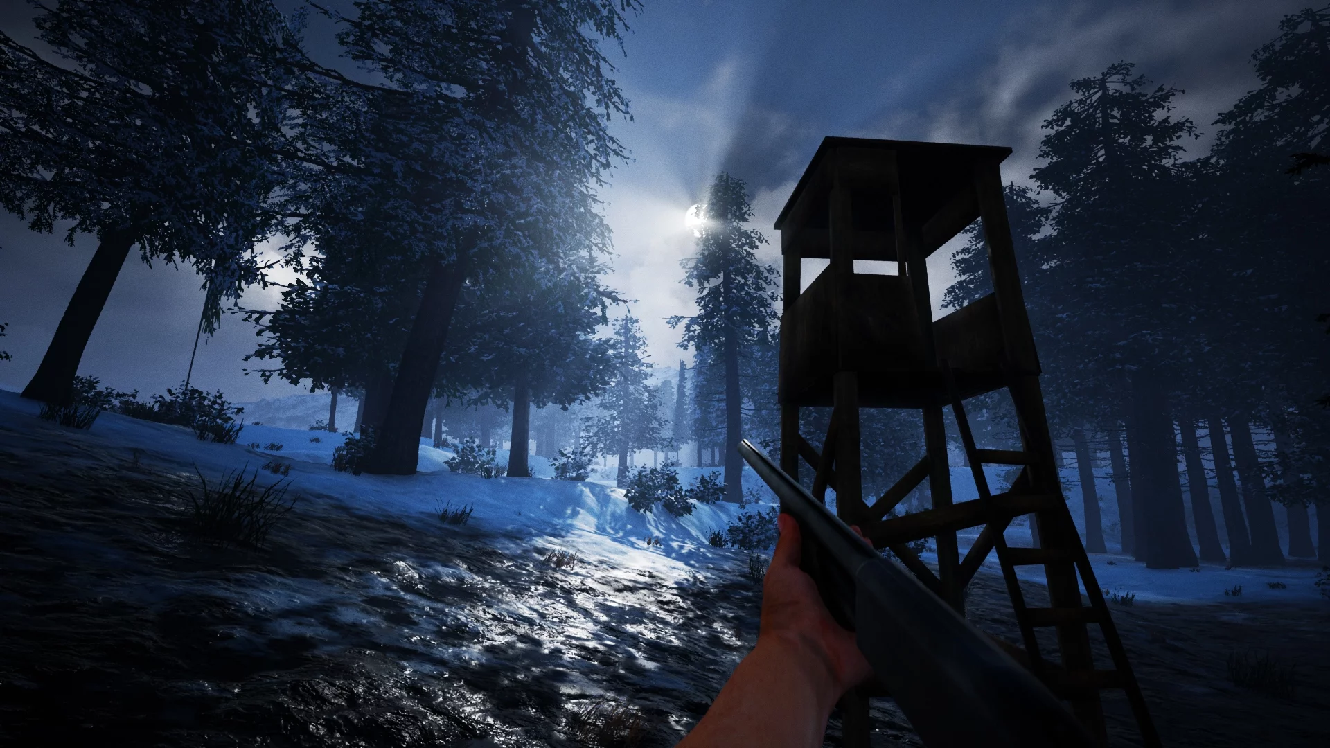 Изображение игры: Alaskan Truck Simulator