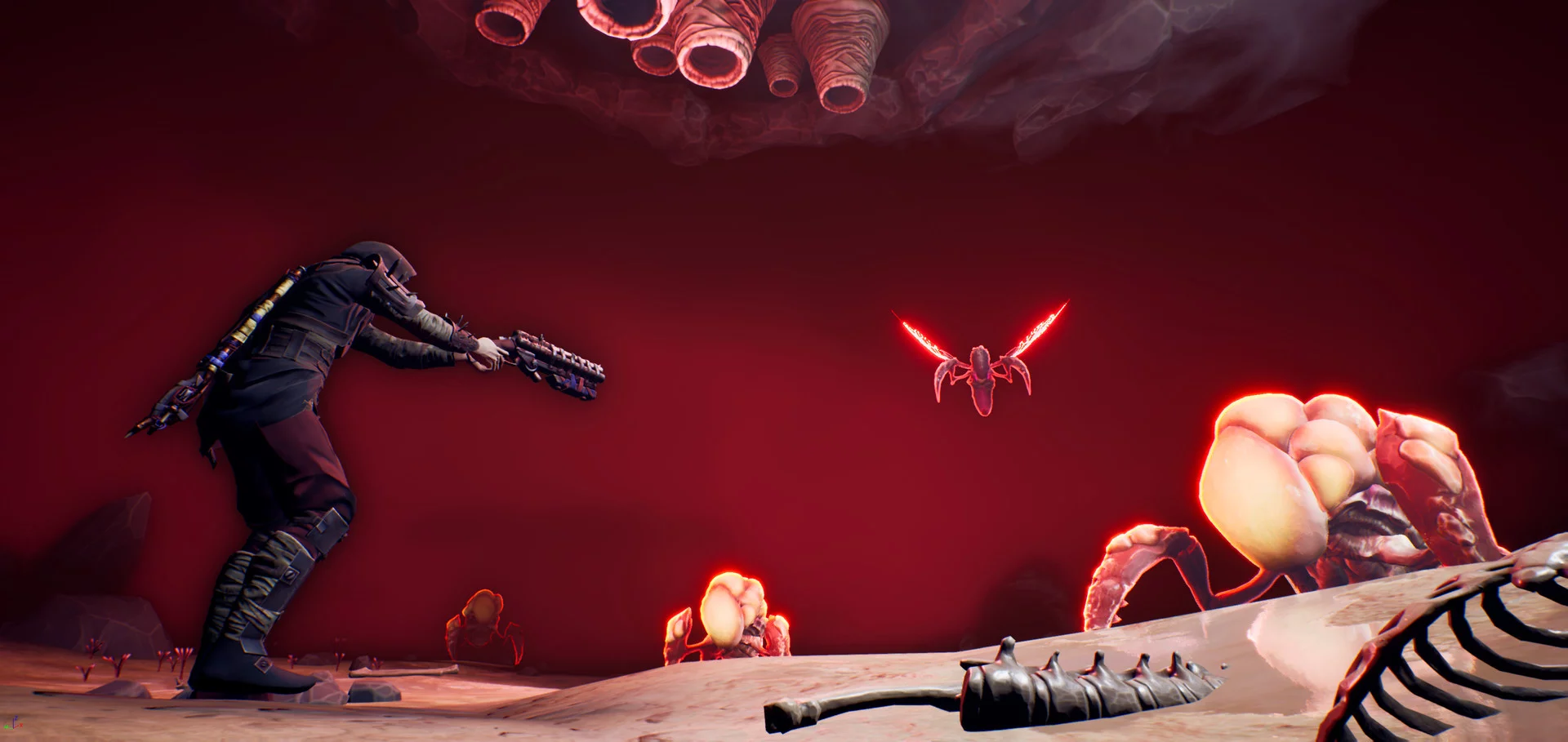 Изображение игры: Alterborn