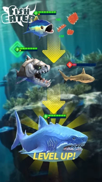 Изображение игры: Fish Eater.IO