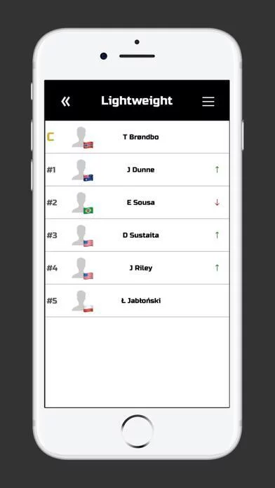 Изображение игры: projectMMA