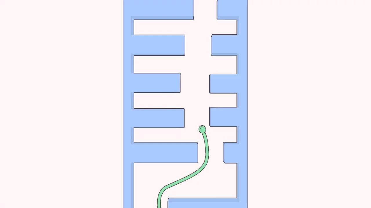 Изображение игры: Cute Snake