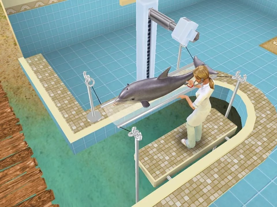 Изображение игры: Pet Vet 3D Animal hospital Down Under