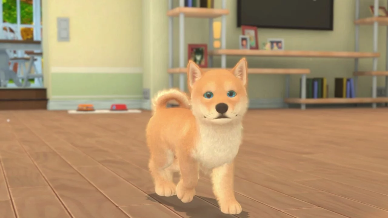 Изображение игры: My Universe - Puppies & Kittens