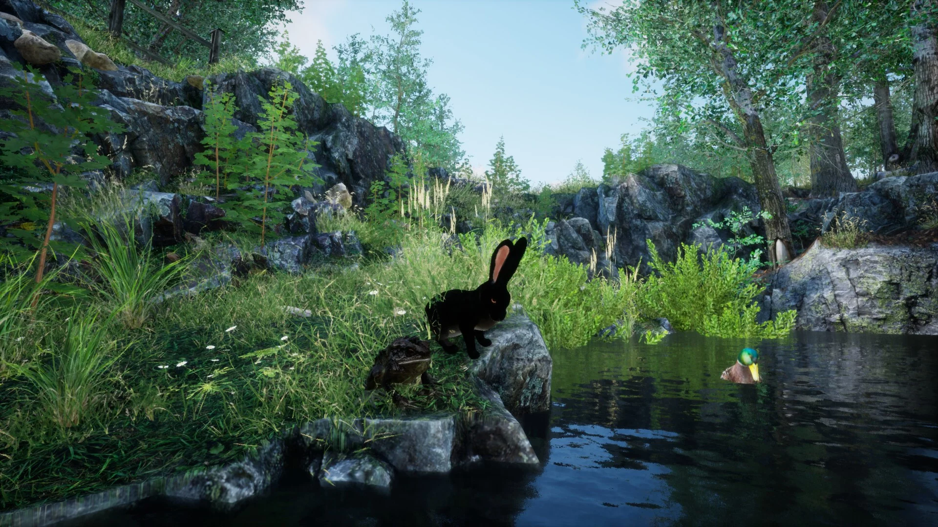 Изображение игры: Rabbit Meadow